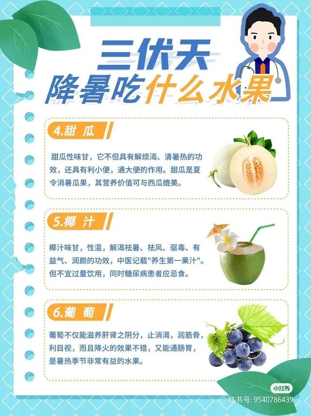 三伏天2022时间表艾灸，2022年三伏天艾灸时间表（夏日解暑降温超有用的食物清单请收好）