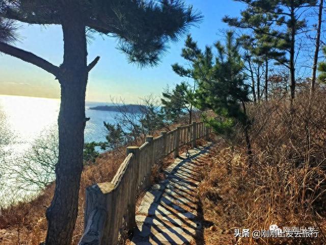 大连景点丨海之韵公园