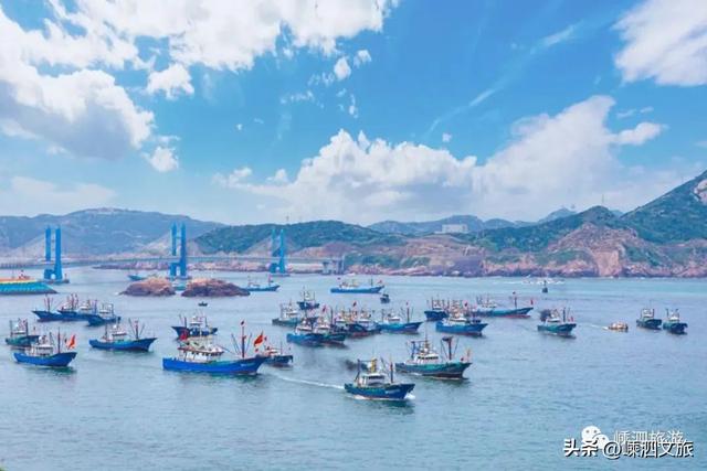 葱油黑鲷鱼做法，油炸鲷鱼做法（东海全面解禁）