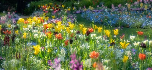 泡泡吹泡泡网名，泡泡吹泡泡微信昵称（充满夏天气息的女生网名）