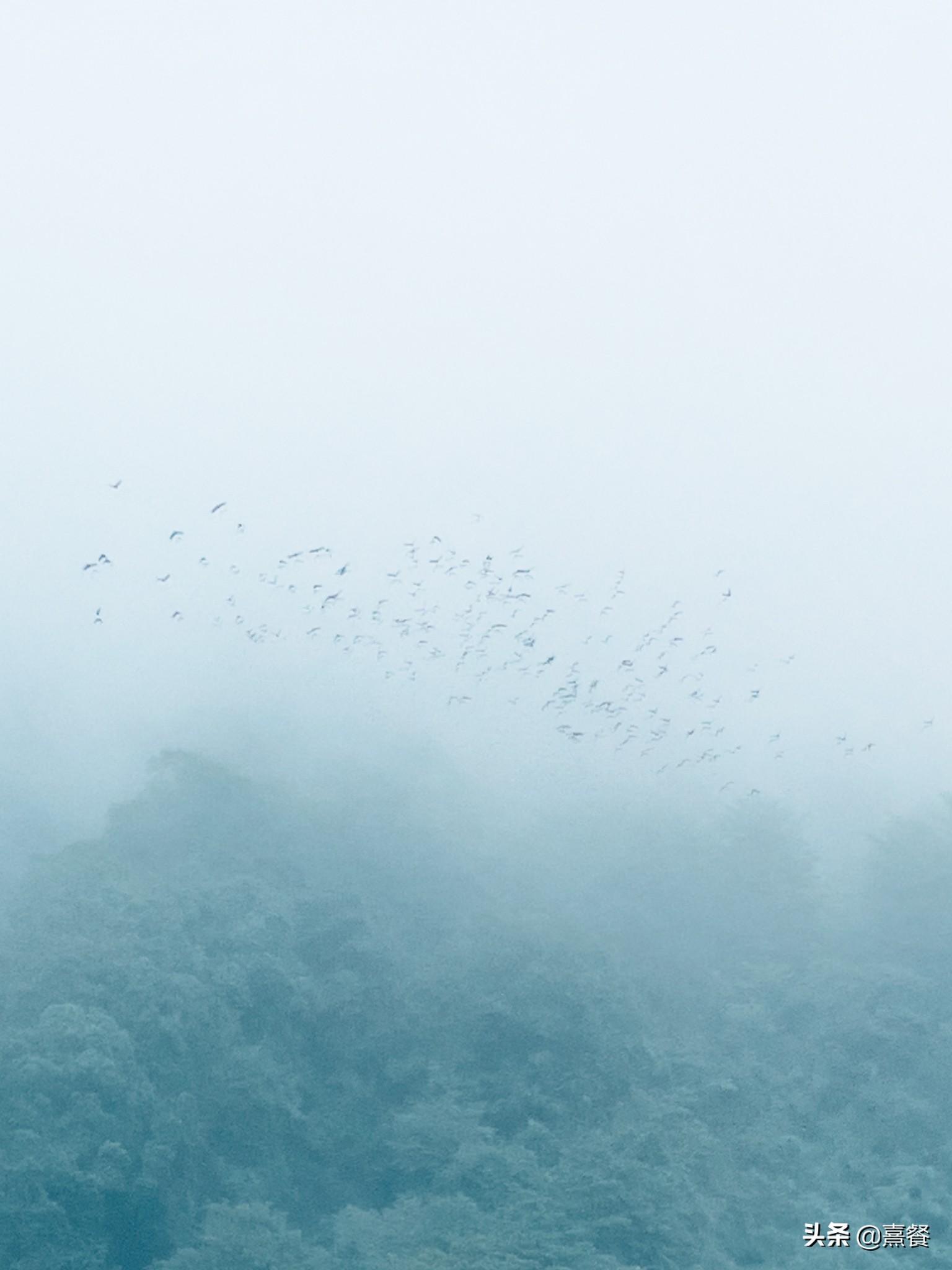 青城山后山门票(青城山后山景区门票)