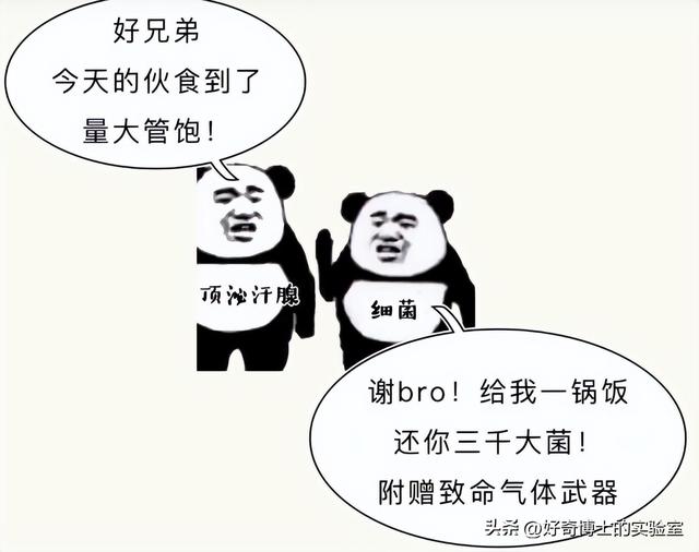 体香是怎么产生的，如何让身体散发自然体香（为什么女生闻起来都是香香的）