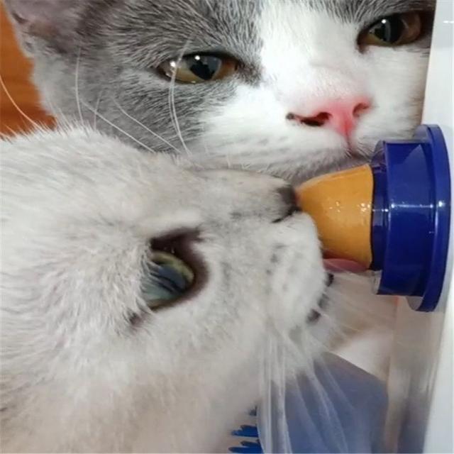 applaws，爱普士Applaws猫罐头是主食罐吗（看看你选对了没有）