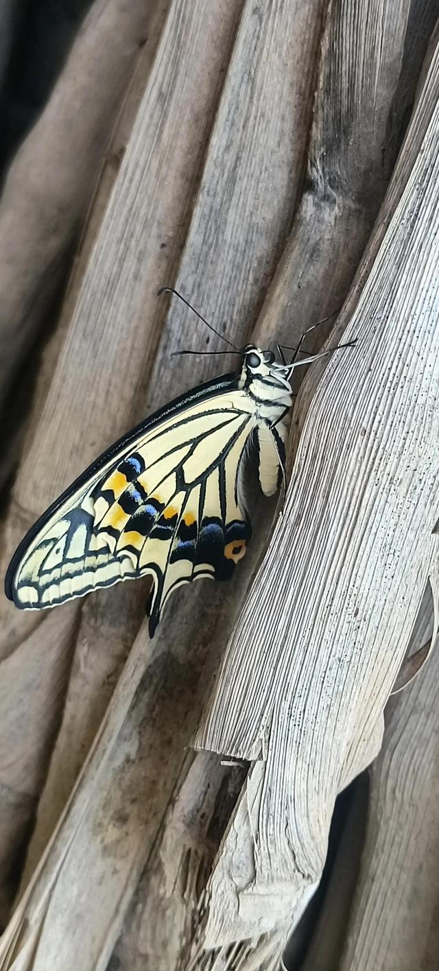 佛法修心口诀，禅宗心法口诀（修心不知如何修）