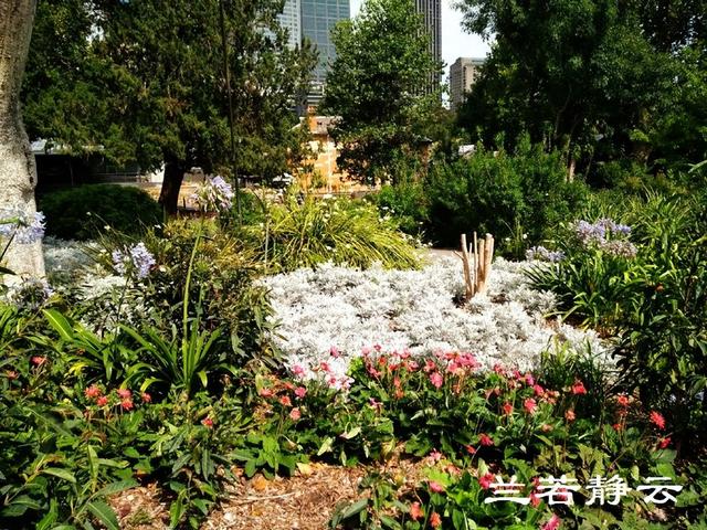 澳大利亚旅游景点，澳大利亚旅游景点英文（澳洲悉尼市区的几个大众化景点）