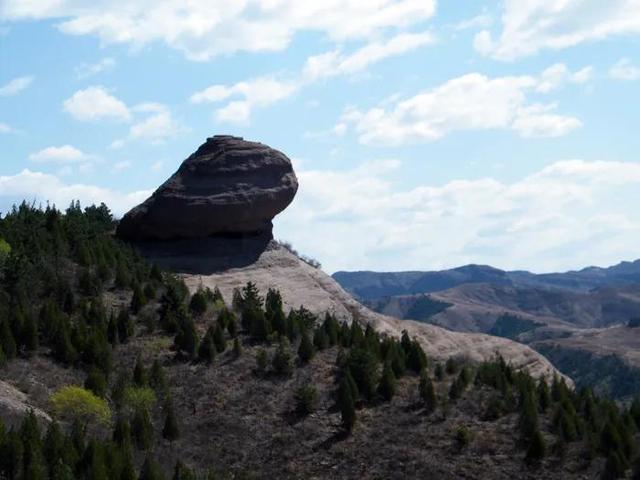 江西武功山旅游攻略，江西武功山旅游攻略自助游（我见真武见真我武功山游玩攻略）