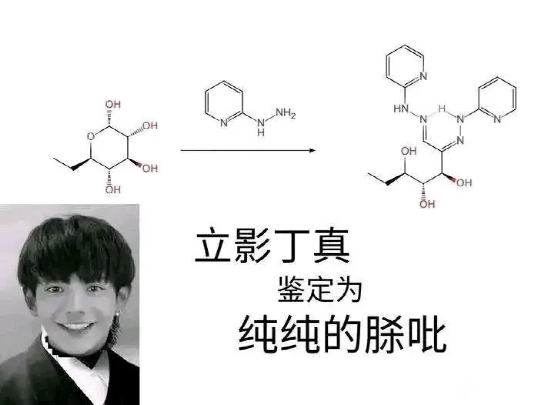 丁真是什么梗，丁真是什么梗雪豹（品鉴汉语言博大精深的魅力）