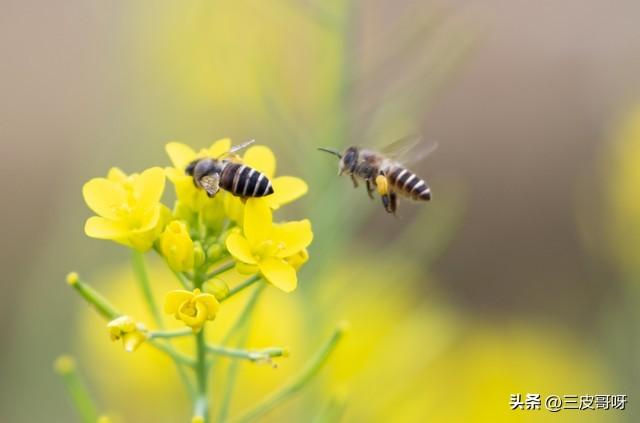 职级晋升考察三年工作总结，职级晋升考察三年工作总结2022（三十年工作的心路历程）