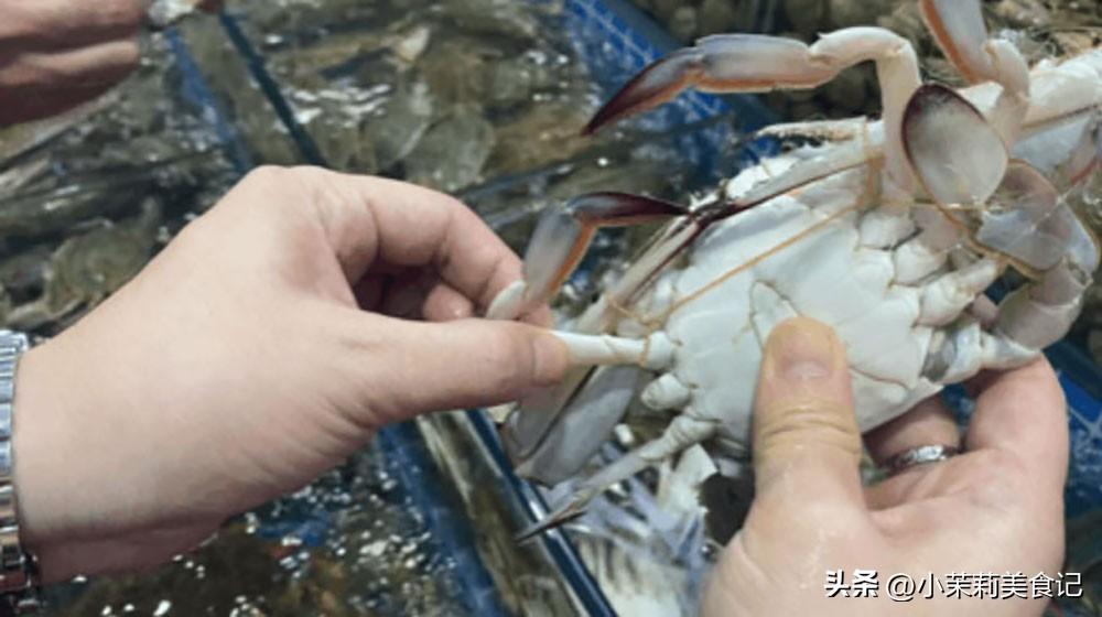 教你如何挑选肥美的梭子蟹，教你如何挑选肥美的梭子蟹图片（别只会看大小和捏蟹脚）
