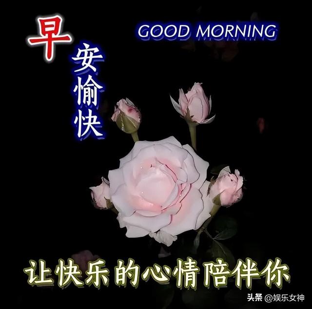 形容清晨美好的句子，形容清晨的词语（最新早上好暖心祝福大全）