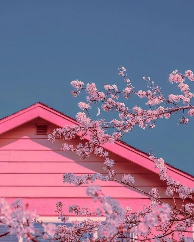 青春奋斗梦想励志句子，关于青春奋斗梦想的励志短句（致为梦想奔跑的年轻人）