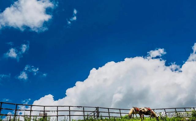 云南旅游景点蓝月谷，云南蓝月山谷（虽没苍山洱海名气大）