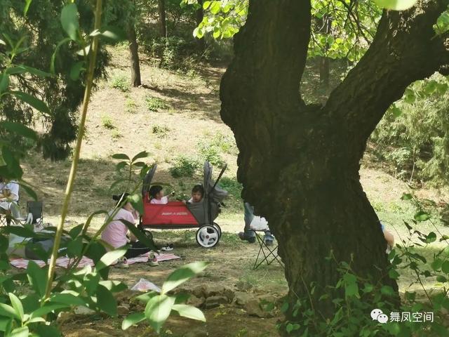 北京西山森林公园，北京西山森林公园登山路线推荐（西山国家森林公园）