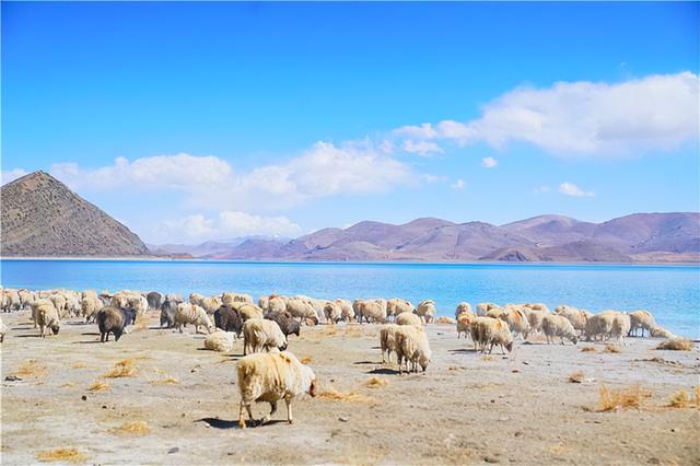 羊湖属于哪里，羊湖属于哪里管辖（遇见人间仙境羊湖最真实的模样）