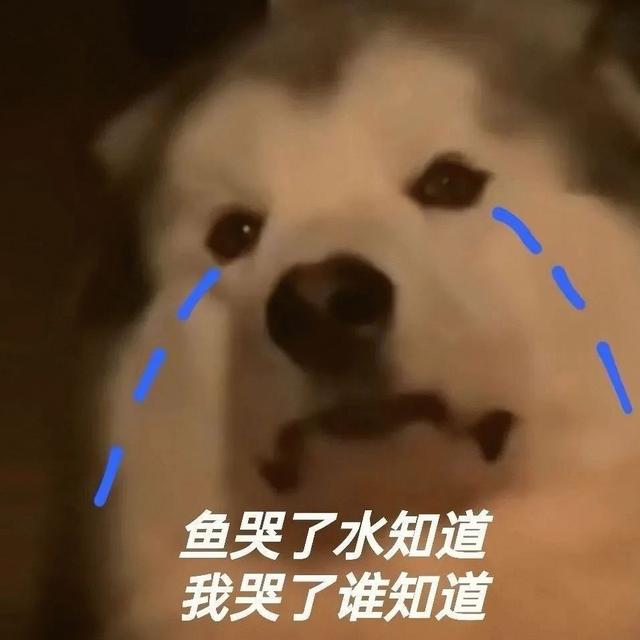 世界上有没有美人鱼，世界上有美人鱼吗（原来美人鱼是真实存在的）