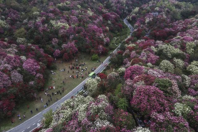 春天旅游国内推荐，国内春天最美的15个旅行目的地