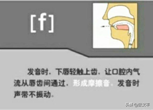 敷怎么读，敷怎么读（敷的读音（到底是读fáng<音防>）