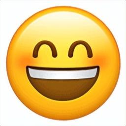 ​游客认错花花，就是那个三角形饭团~