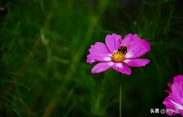 个人特质有哪些，一个人的特质有哪些（往往有以下五个特点）