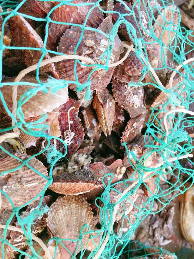 厦门到日照多少公里，厦门到日照自驾游怎么走最好（山东日照2天2晚自驾亲子游攻略）