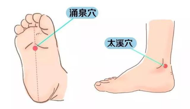 脚的各个部位详细图，一份“双脚疼痛图解”