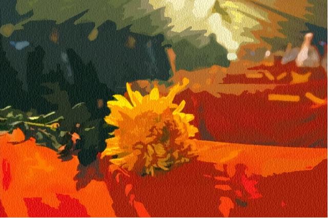 轻轻的我走了原文，轻轻地我走了（评易白爱国主义诗歌《屈原同志》等诗作）