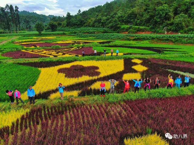 昆明旅游景点，昆明旅游景点一日游（昆明必打卡的30个小众上镜地）