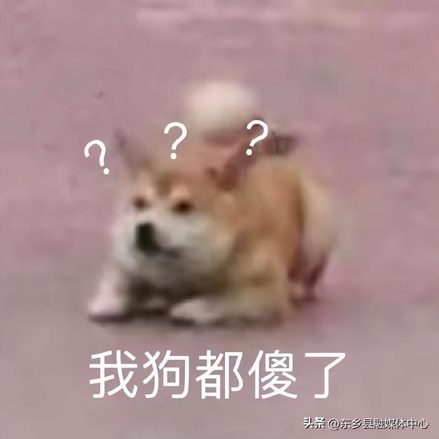 公务员政审内容，公务员考试政审审什么（公务员政审环节“审”什么）