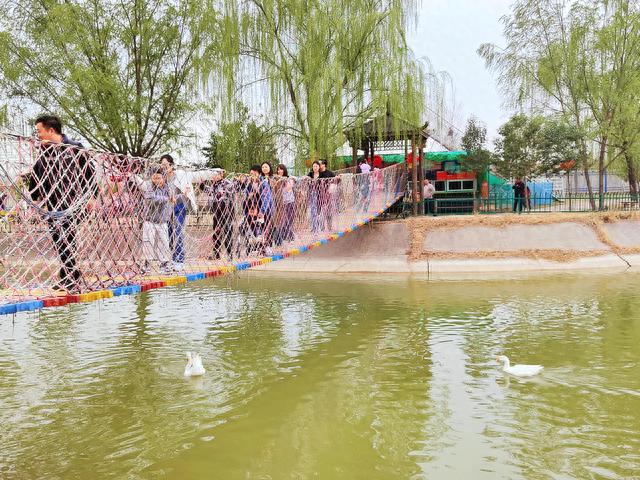 儿童乐园：洛阳中赫海豚湾海洋公园