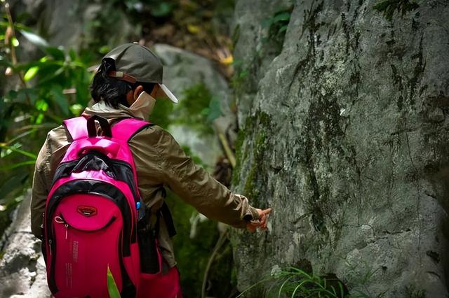 苏堤的由来， 这场山水间的文化体验之旅揭秘不为人知的千年城市历史