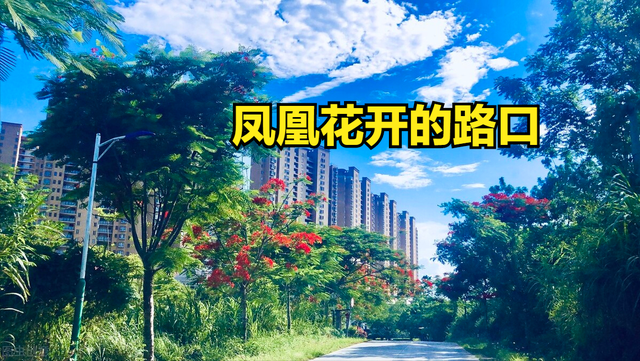 关于毕业的歌曲，2022毕业季最催泪的10首歌（那些青春回忆里的十首歌）