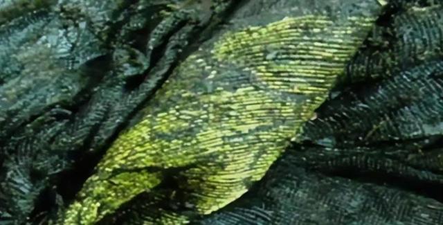 古墓挖出七星石棺，广西挖出北斗七星巨棺