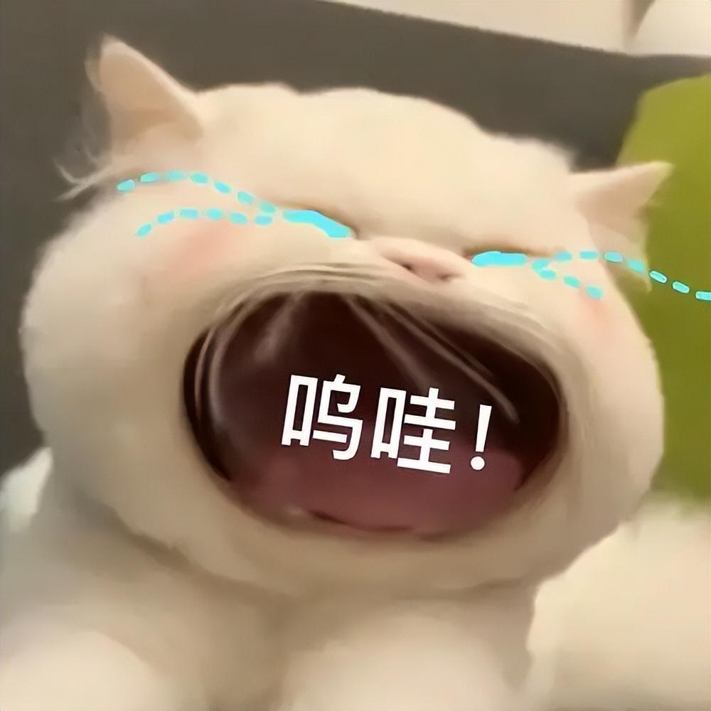 微信照片发不出去(为啥照片发不出去)