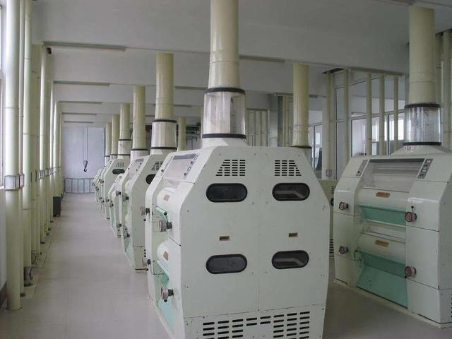 小麦粉可以做什么吃的，小麦粉可以做什么吃的油炸（认识小麦面粉）