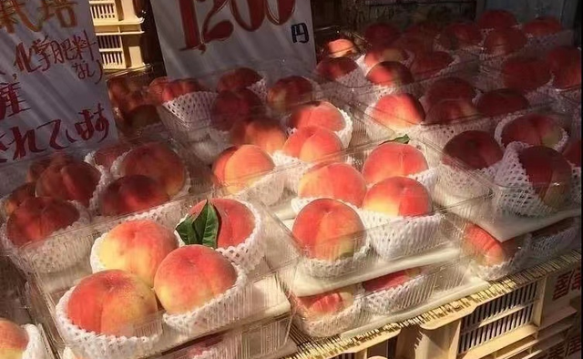 祝儿童节快乐的句子，儿童节快乐祝福句子（文案，适合六一儿童节发的句子）