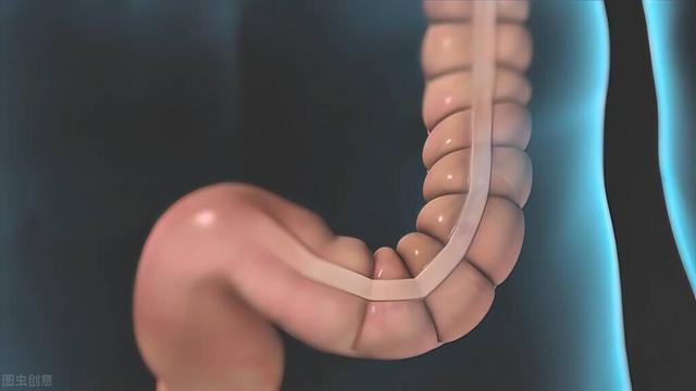 肚子疼怎么办快速解决，肚子疼怎么办（肚子疼到底是哪里疼）