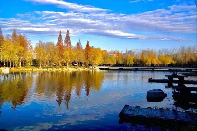 郑州大学最好的3个专业，郑州大学最好的专业是什么-特色专业-优势专业（3个学科稳居全球前1‰）