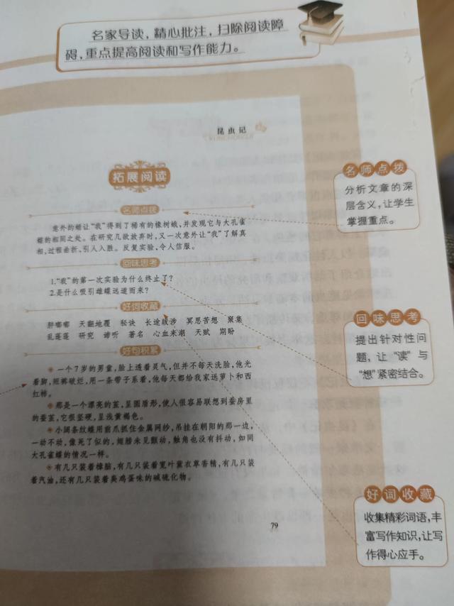 老象虫的外形特点，老象虫外表有何特点（一起读书——《昆虫记》）