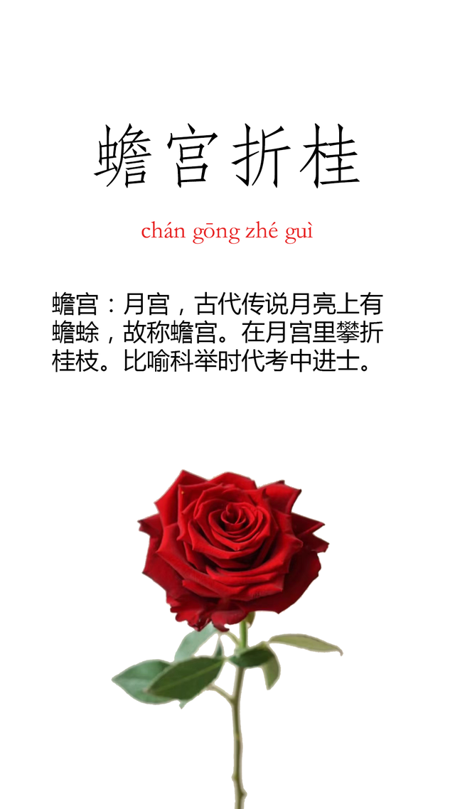 祝福的四字词语，美好祝福的四字词语（七个饱含深切祝福的成语）