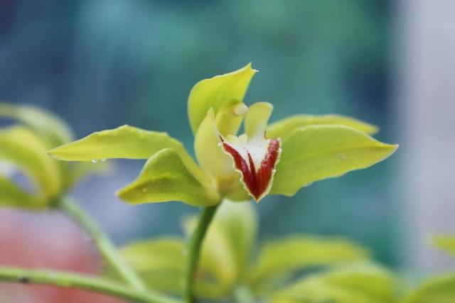 因人而异造句，用因人而异写一句话（最高级的智慧：因人而异）