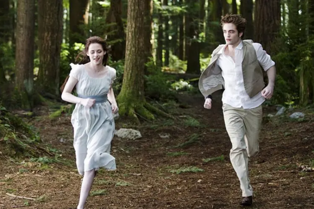 暮光之城，暮光之城女主（一部献给青少年的成长必读书图片）