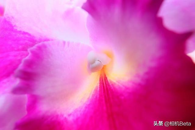 佳能广角镜，佳能广角镜头哪款性价比高（15-30mm）