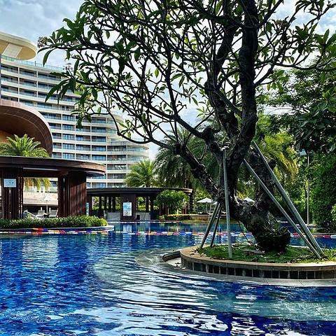 近乎完美的体验，入住报告，三亚维也纳国际酒店