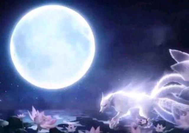 出马是什么意思，出马都具备了什么才能（民间文化：“出马仙）