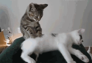 精油开背图片大全，精油开背手法步骤带图（出来后整个人都麻了）