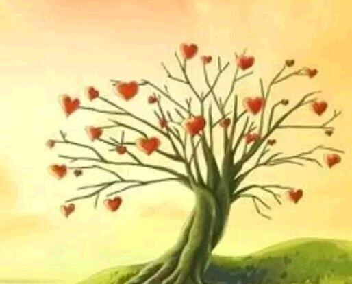 包容的作文300字6篇，关于包容的作文300字（我的青春拥抱温暖》）