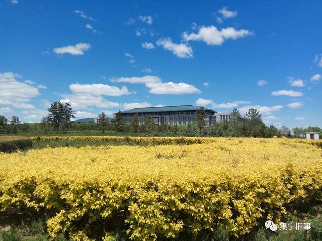 乌兰察布旅游景点，乌兰察布旅游必去十大景点（乌兰察布周边都有哪些好玩的地方）