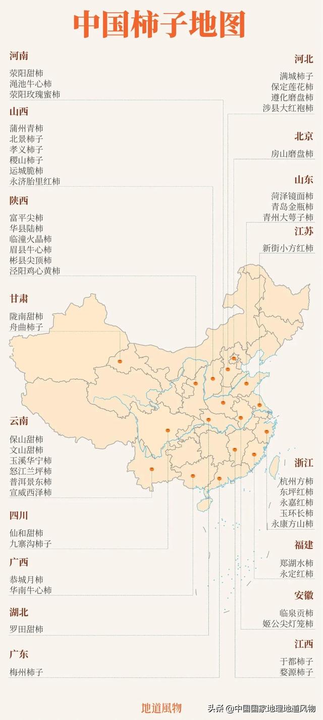 柿子的主要产地在哪里，柿子的产地有哪些地方（陕西、河南、河北、广东、广西）