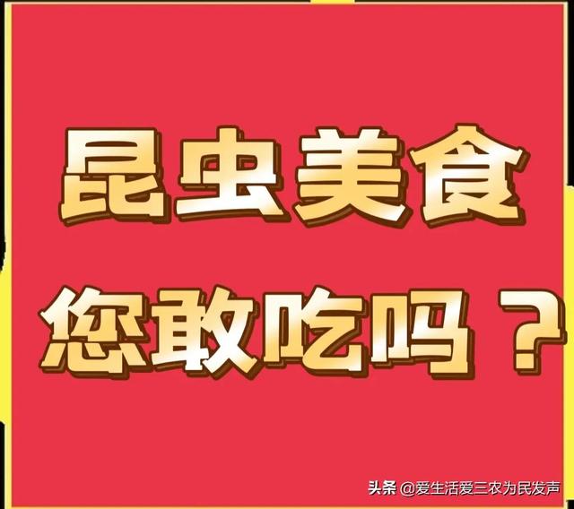 九香虫怎么养好，九香虫的生长环境（十种不被待见的昆虫）