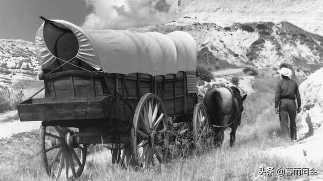 继续活下去的五个故事，关于电影继续活下去的五个故事（告诉我们“生存意志”才是幸存者的生存之法）